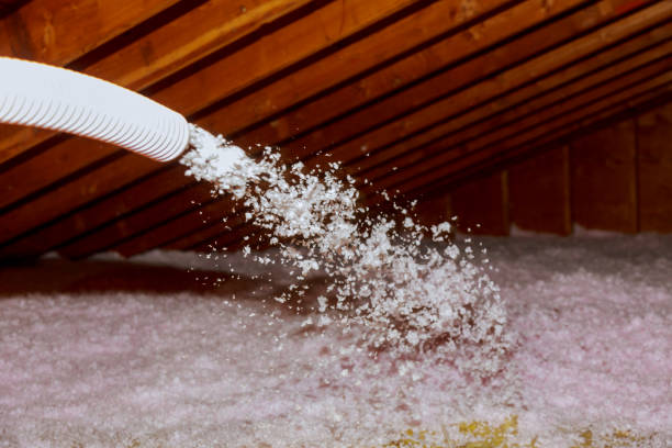 Best Commercial Insulation Services  in Mission Viejo, CA